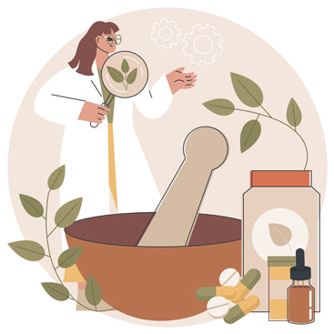 Traditional Medicine and Ayurveda: A Timeless Approach to Holistic Healing