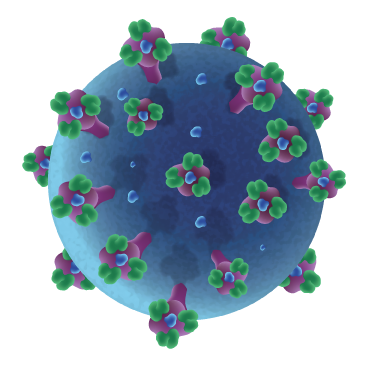 Understanding HMPV: Human Metapneumovirus and Its Impact on Health